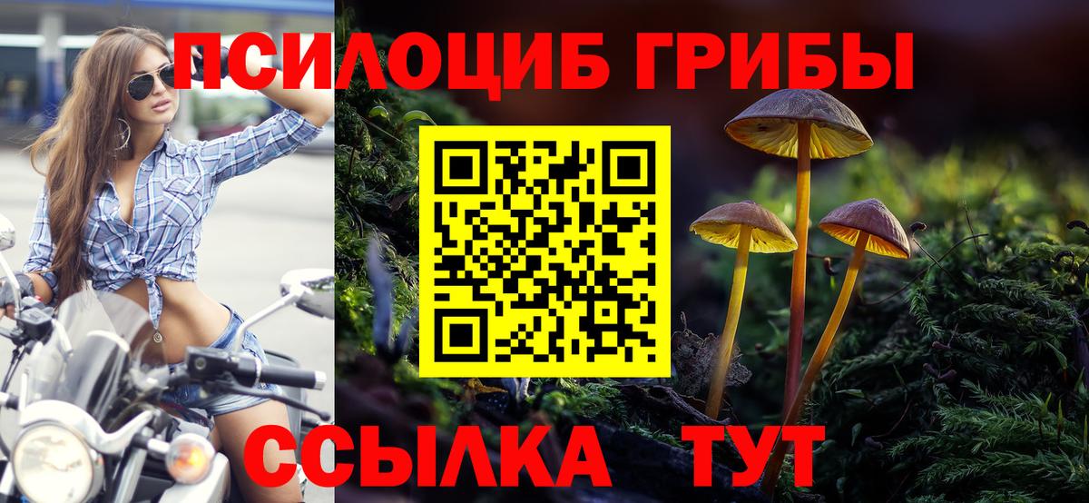 Псилоцибиновые грибы Cubensis  Вход с VPN  Карпинск 